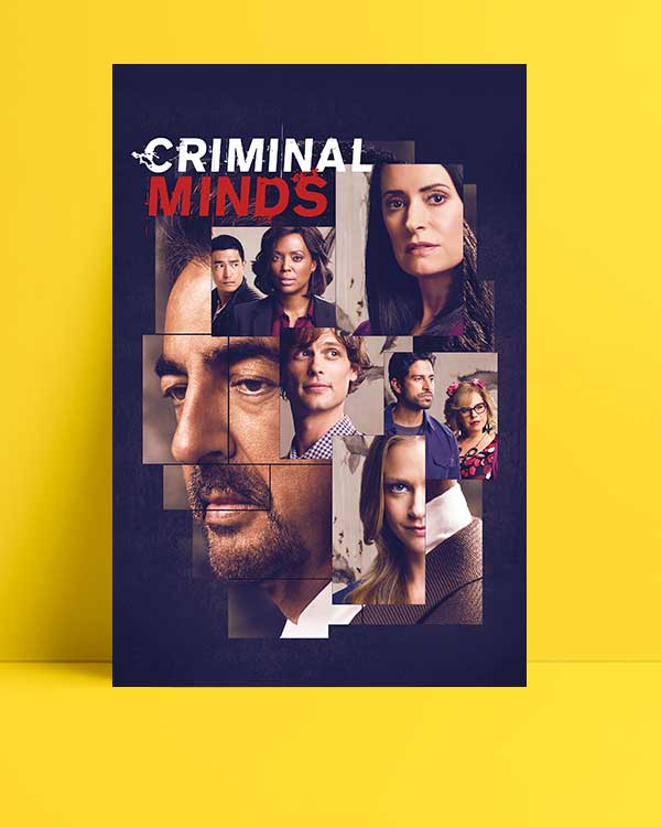 Criminal Minds afişi