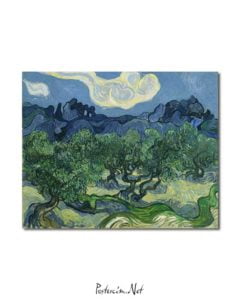 Vincent van Gogh - Alpilles Önünde Zeytin Ağaçları posteri