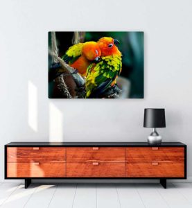 Colorful Birds kanvas tablo
