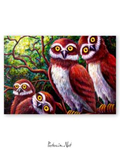 Surprised Owls poster