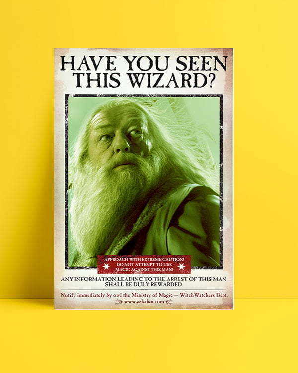 Harry Potter Wizard Dumbledor film afişi