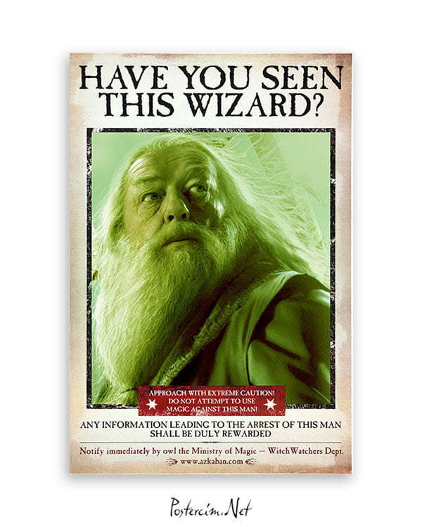 Harry Potter Wizard Dubledor film posteri