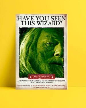 Harry Potter Wizard Dumbledor film afişi