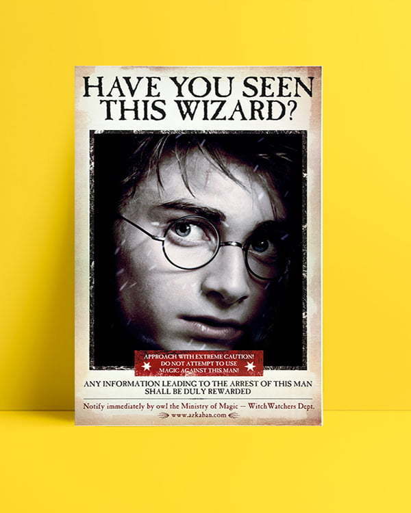 Harry Potter Wizard Harry film afişi