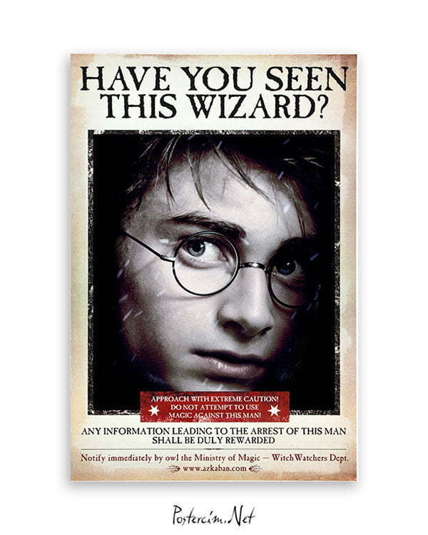 Harry Potter Wizard Harry film posteri