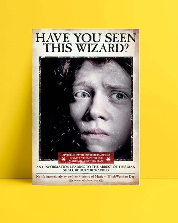 Harry Potter Wizard Ron film afişi