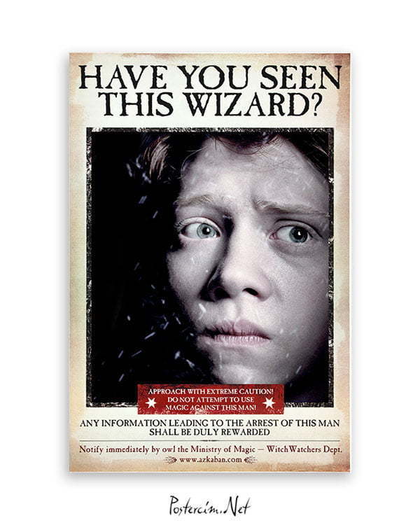 Harry Potter Wizard Ron film posteri