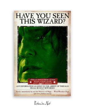 Harry Potter Wizard Snape film posteri