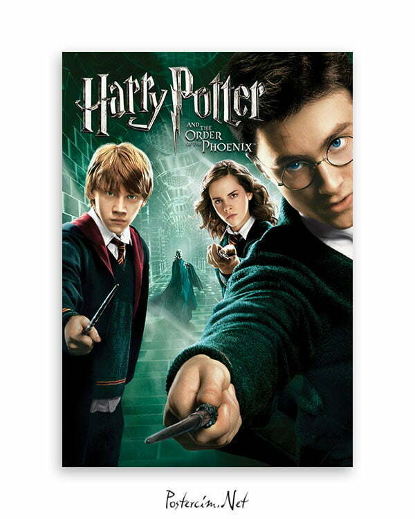 Harry Potter ve Zümrüdüanka Yoldaşlığı Poster