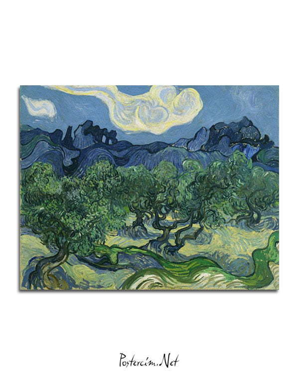 Vincent Van Gogh Alpilles Önünde Zeytin Ağaçları poster al