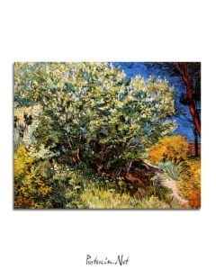 Vincent-Van-Gogh-Bush-of-lilac-poster