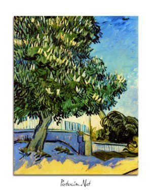 Vincent Van Gogh Chestnut trees in flowers poster al