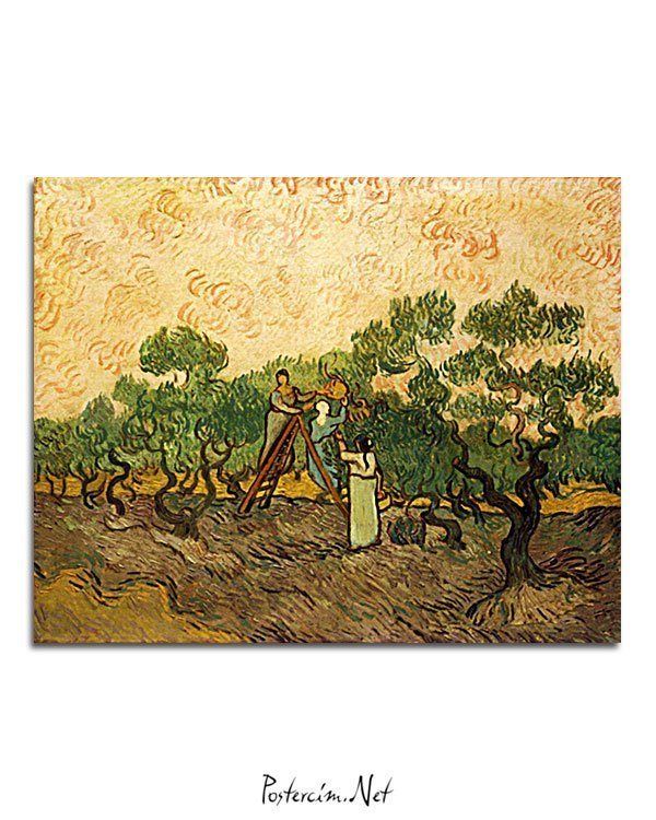 Vincent Van Gogh Femmes récoltant des olives poster al