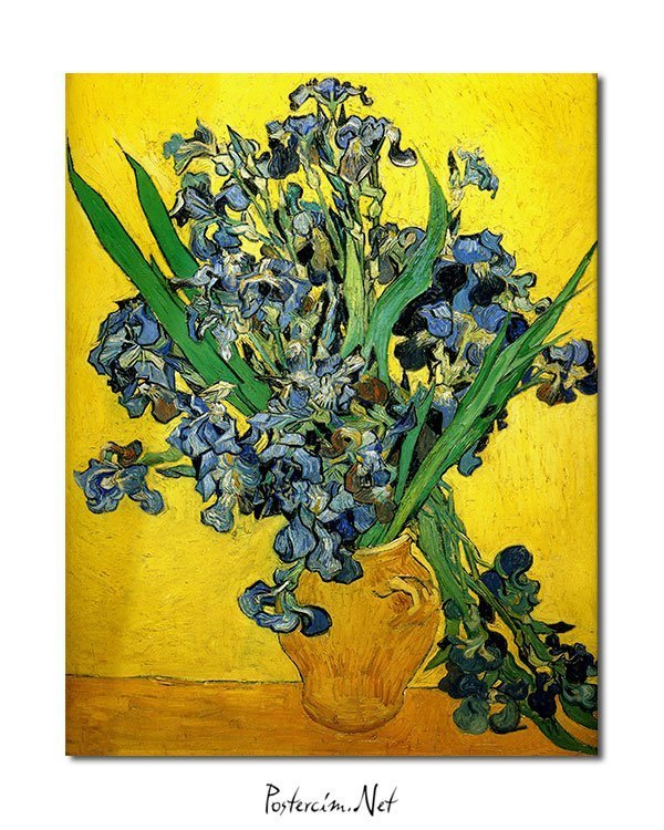 Vincent Van Gogh Irises poster