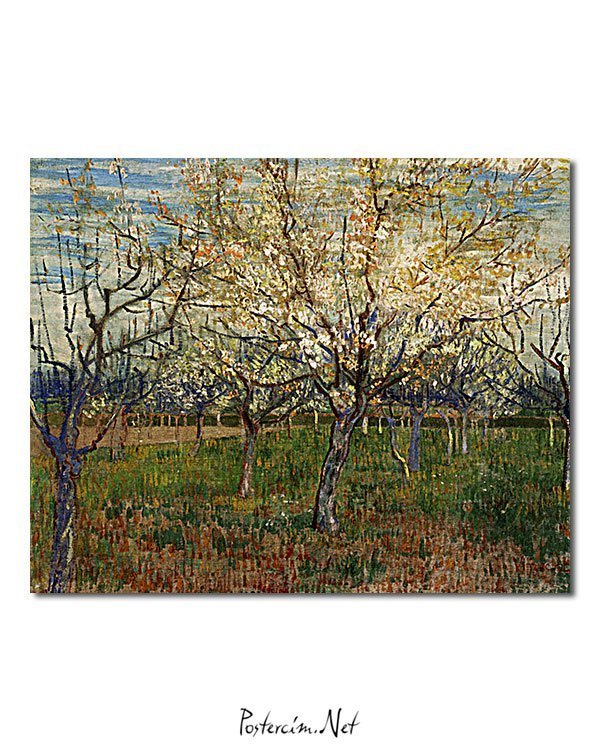 Vincent Van Gogh Le Verger Rose poster