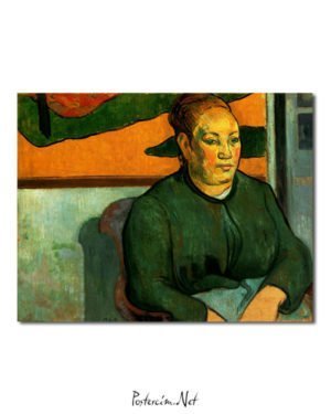 Vincent Van Gogh Madame Roulin Poster